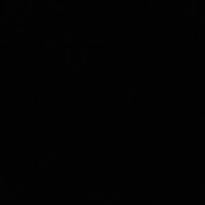 Meet your Posher, Raya